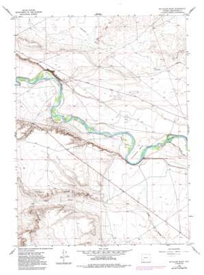 McCullen Bluff USGS topographic map 41109h8