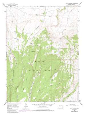 Table Mountain USGS topographic map 41110a3