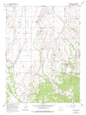 Pine Knoll topo map