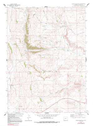 Round Mountain USGS topographic map 41110h4