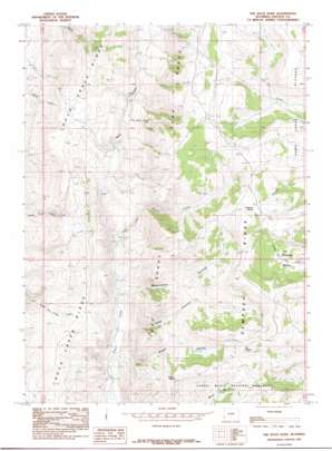 The Rock Slide USGS topographic map 41110h7
