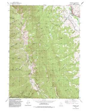 Peterson USGS topographic map 41111a7