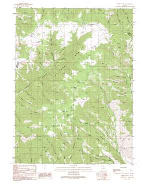 Bybee Knoll topo map