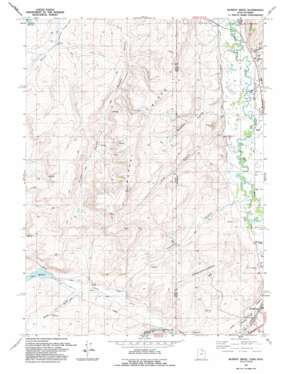 Murphy Ridge topo map