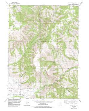 Browns Hole topo map