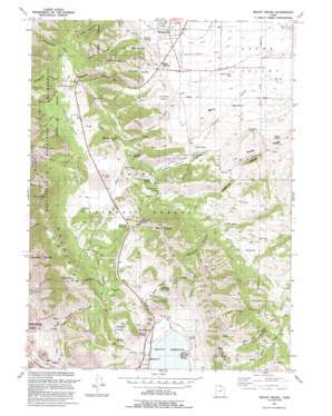 Mount Pisgah USGS topographic map 41111e8
