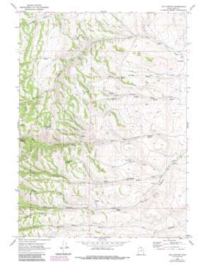 Old Canyon topo map