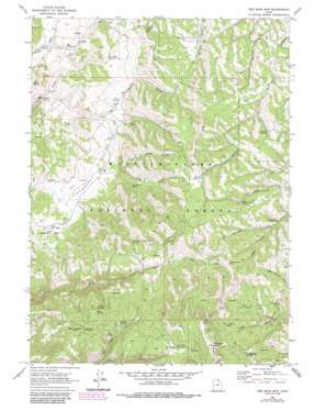 Red Spur Mountain topo map