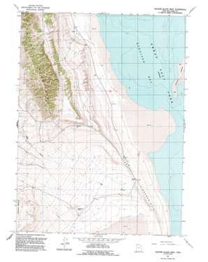 Dolphin Island West topo map