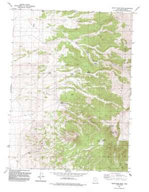 Rocky Pass Peak USGS topographic map 41113e7