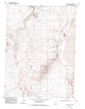 Peplin Flats topo map