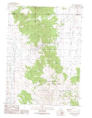 Buck Hollow USGS topographic map 41113h6