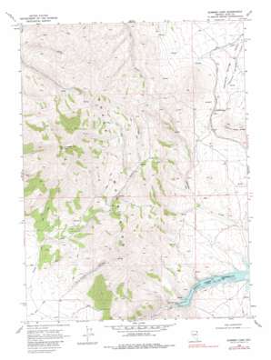 Summer Camp topo map