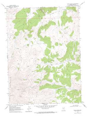Texas Spring USGS topographic map 41114f5