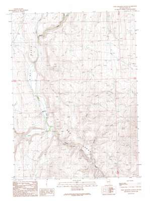 Twin Meadows Ranch USGS topographic map 41114g8