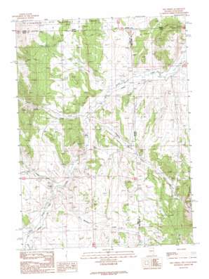 Nile Spring USGS topographic map 41114h1