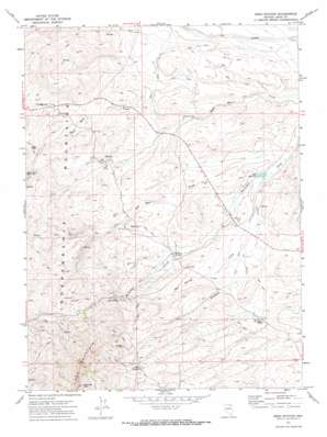 Reed Station topo map