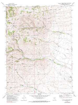 Mahala Creek West USGS topographic map 41115c8