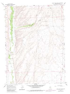 Buena Vista Ranch USGS topographic map 41115d2