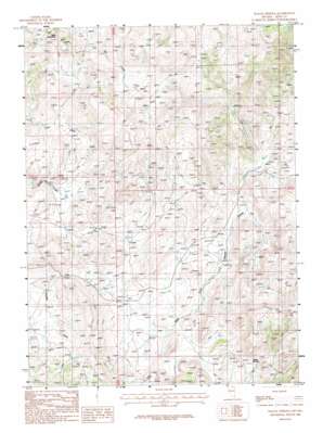 Wagon Springs USGS topographic map 41115e6