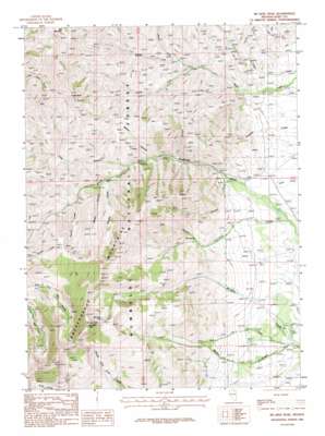 Mcafee Peak topo map