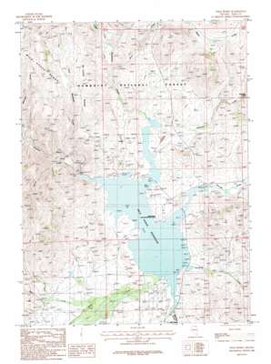Wild Horse USGS topographic map 41115f7
