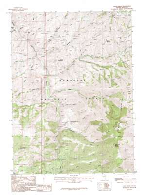 Coon Creek topo map