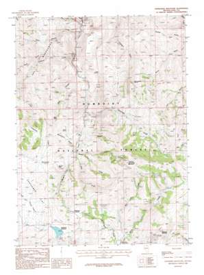 Tennessee Mountain USGS topographic map 41115g6