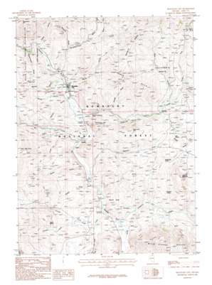Mountain City USGS topographic map 41115g8