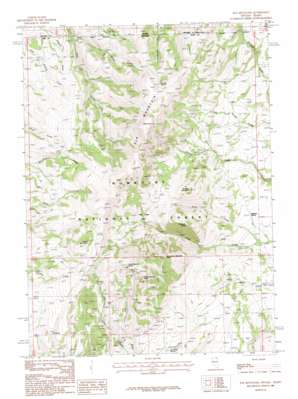 Elk Mountain topo map