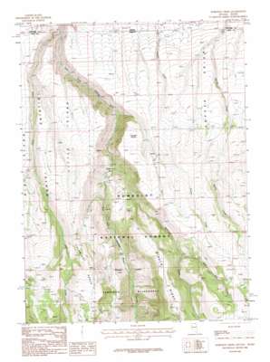 Robinson Creek USGS topographic map 41115h3
