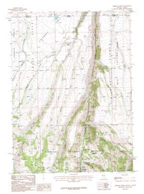 Jarbidge North USGS topographic map 41115h4