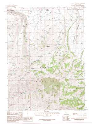 Bearpaw Mountain USGS topographic map 41115h5