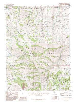 Hicks Mountain USGS topographic map 41115h7