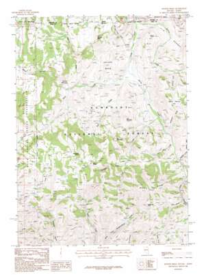 Hicks Mountain USGS topographic map 41115h8