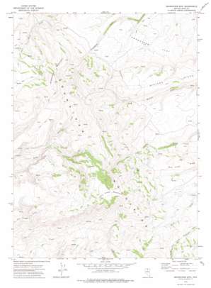 Snowstorm Mountain USGS topographic map 41116c8