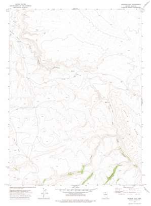 Rodear Flat topo map