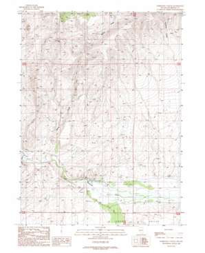 Spring Creek USGS topographic map 41117d3