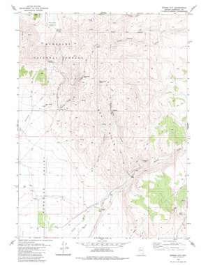 Black Ridge USGS topographic map 41117e4