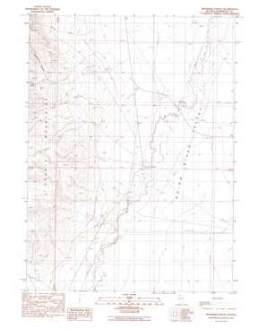 Riverside Ranch USGS topographic map 41117e8