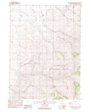 White Rock Canyon USGS topographic map 41117f6
