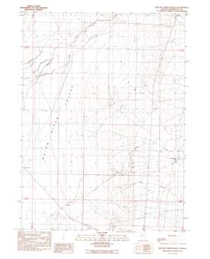Willow Creek Ranch USGS topographic map 41117f7
