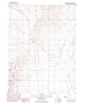 Sentinel Rock USGS topographic map 41117f8