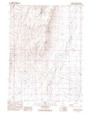 Hoppin Peaks USGS topographic map 41117g7