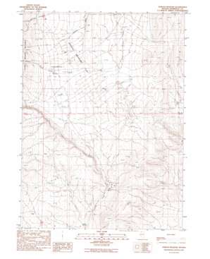Jordan Meadow USGS topographic map 41117g8