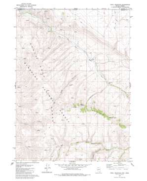 Odell Mountain USGS topographic map 41117h4