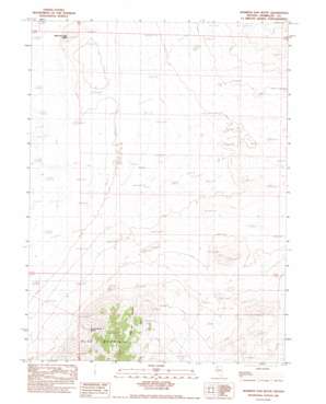 Jackson Mountains USGS topographic map 41118a1