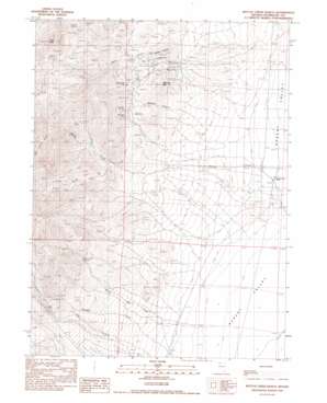 Bottle Creek Ranch USGS topographic map 41118c3