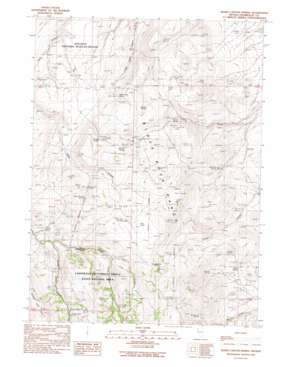 Idaho Canyon Spring USGS topographic map 41118e8