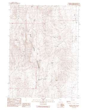Ninemile Summit USGS topographic map 41118f3